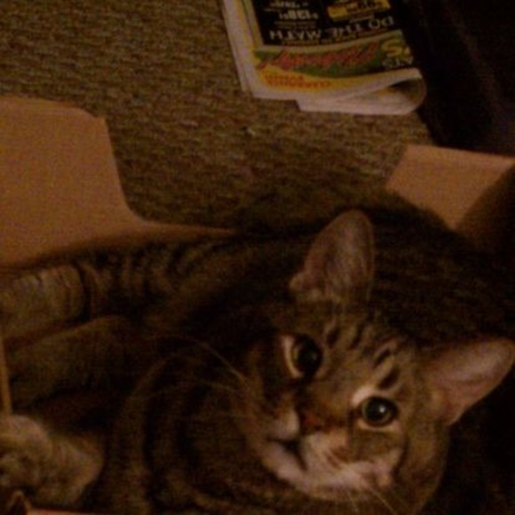 Meet your Posher, Michelle - Picture 1 of 1